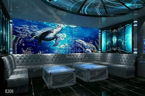 遵义小时场ktv体验分享-桐梓县ktv预定